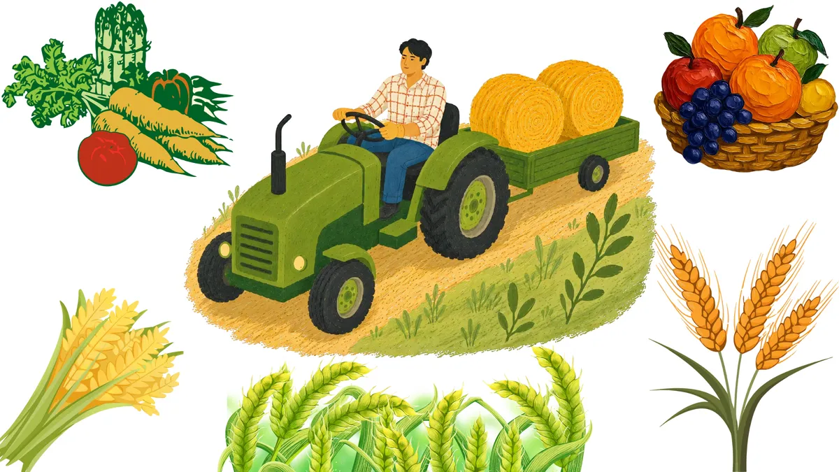 Illustration of a farmer on a tractor carrying hay bales, surrounded by vegetables, fruit and wheat